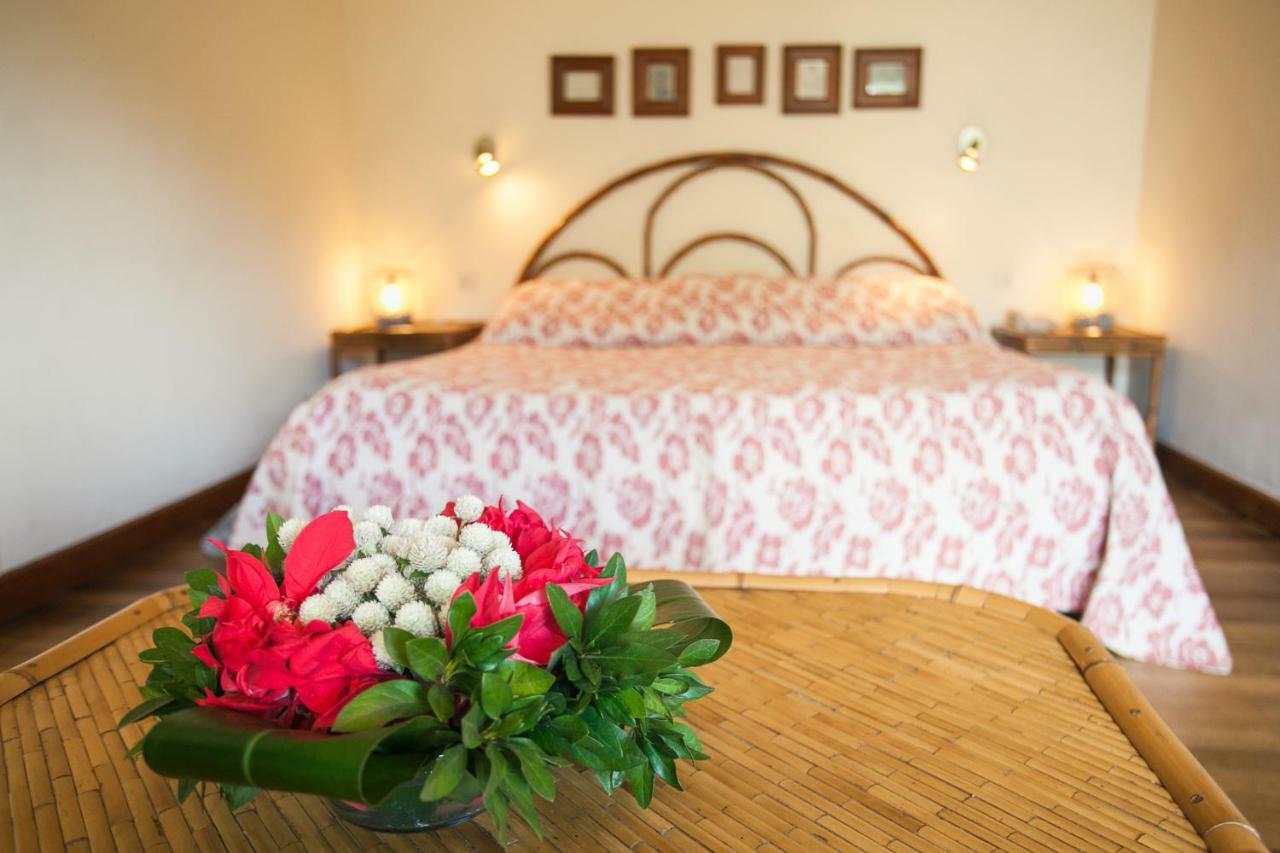 Tsara Guest House Fianarantsoa Zewnętrze zdjęcie